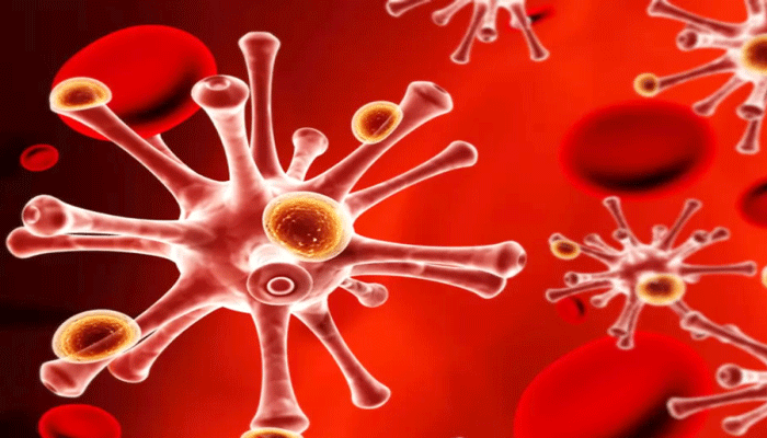 coronavirus