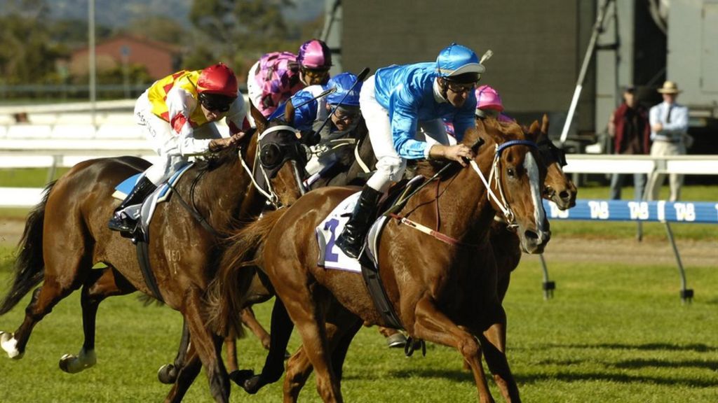 Ultimate Horse Racing Jargon