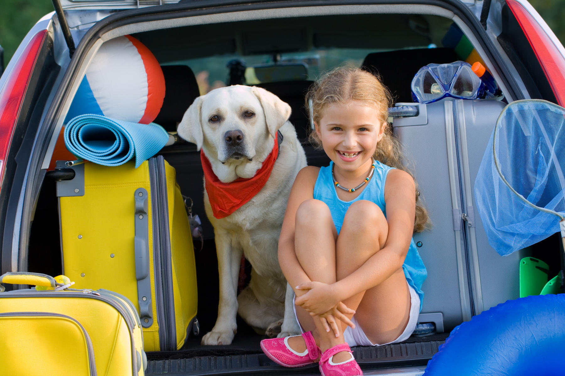 Traveling with your Dog