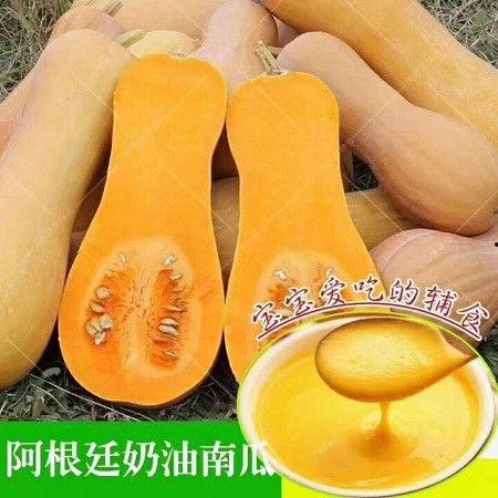 今日富硒瓜图片,大自然的馈赠与现代农业的结晶
