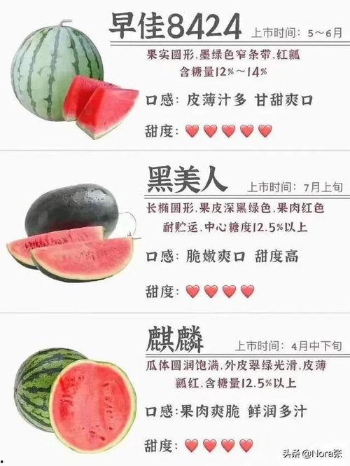 今日富硒瓜图片,大自然的馈赠与现代农业的结晶
