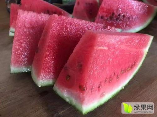 嘉兴硒砂瓜今日价格,价格行情一览
