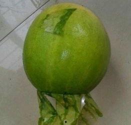 许昌今日吃瓜事件,网络热议背后的真相揭秘
