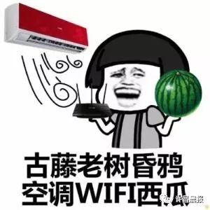 许昌今日吃瓜事件,网络热议背后的真相揭秘
