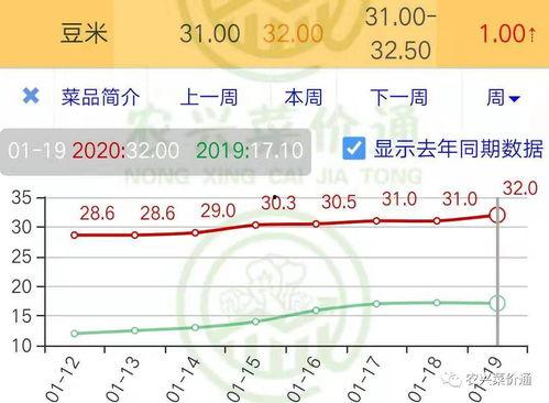 小白瓜今日行情价格走势,今日价格波动解析