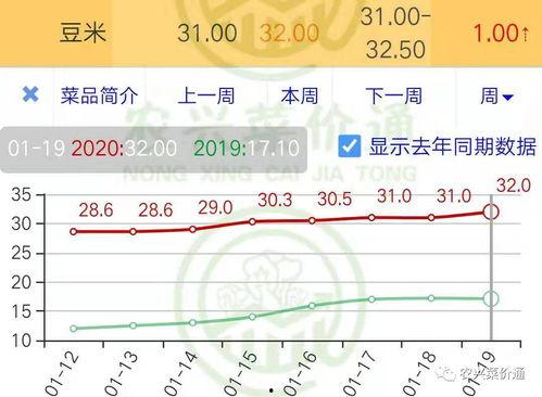 今日小瓜走势分析,今日走势深度解析