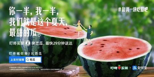今日吃瓜文案句子图片,揭秘热门事件背后的真相与笑料