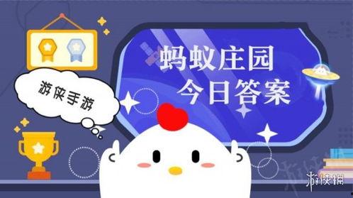 蚂蚁庄园今日答案面条瓜,探寻神秘面食的起源与魅力