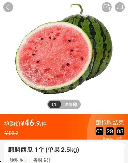 小喜瓜今日价格最新行情,价格波动解析与市场趋势洞察”