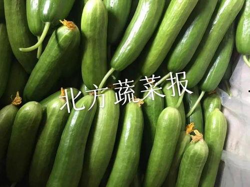 小喜瓜今日价格最新行情,价格波动解析与市场趋势洞察”
