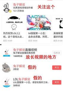 今日头条小瓜解说,深度解析社会现象，带你领略时事风云