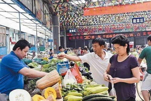 角瓜价格今日山东菜价,今日角瓜价格动态解析”