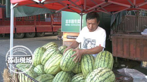 河南今日瓜价行情,品种丰富，价格稳定