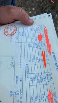 瓜州今日棉价行情,今日行情一览