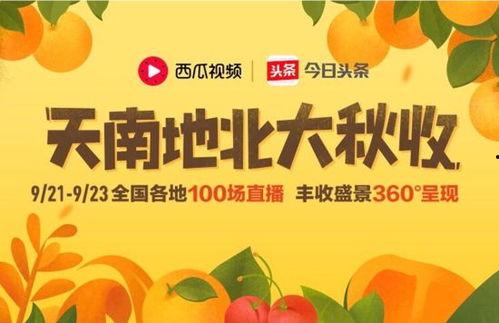 衡水今日头条卖瓜,瓜果飘香，新鲜上市，尽享夏日清凉！