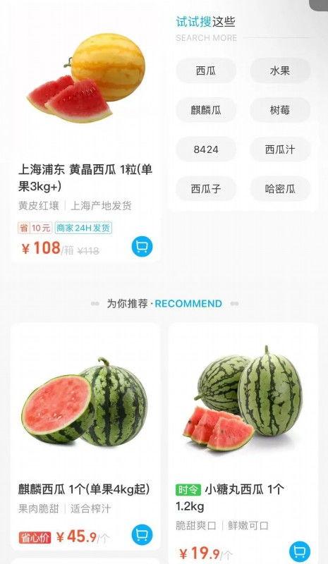 盐城麒麟瓜今日价格