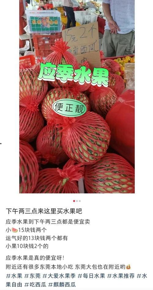 今日东莞麒麟瓜价格,今日行情一览”