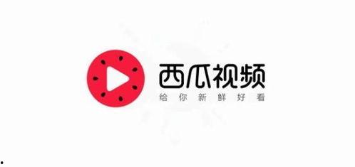 合肥今日头条卖瓜,夏日炎炎，卖瓜小贩的街头传奇