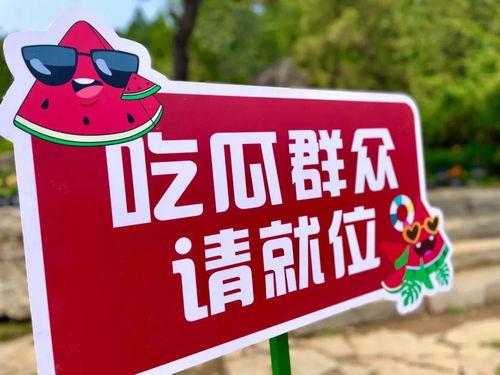 911红领巾吃瓜爆料今日大瓜,今日大瓜事件全解析